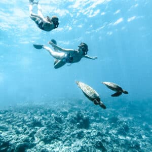 Two snorkelers swim underwater near the ocean floor alongside two sea turtles. The clear blue water reveals a coral reef below them. The sunlight from above creates a serene and vibrant underwater scene, an experience often highlighted in Soneva Exclusive Offers.