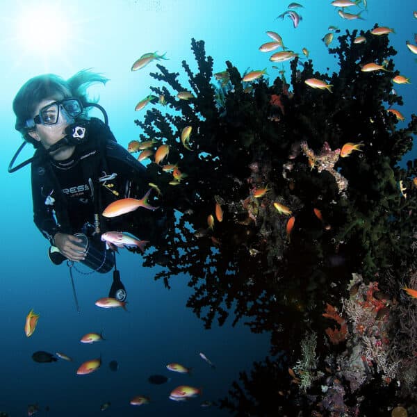 A scuba diver swims near a vibrant coral reef with colorful fish surrounding them. Sunlight filters through the clear blue water, illuminating the delicate marine life and the diver's gear. This serene scene embodies the beauty of underwater exploration, reminiscent of Soneva Exclusive Offers.