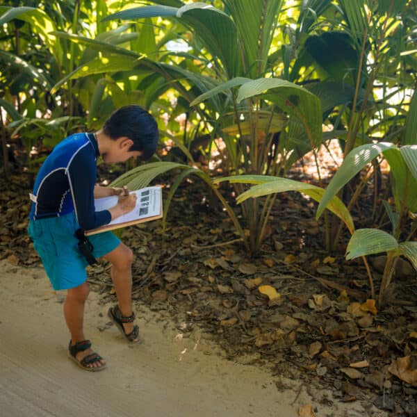 A child wearing blue swimwear and sandals is standing on a sandy path under the shade of tropical plants at a Thailand exclusive experience, diligently taking notes on a clipboard. The ground is covered in fallen leaves, and sunlight filters through the foliage, highlighting this unique moment at Soneva.