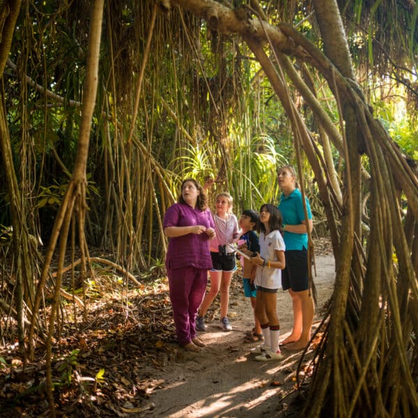 A group of people, two adults and two children, look up and observe the surroundings as they walk through a dense, lush forest with hanging roots and tall trees. They seem to be on a guided nature tour, exploring the vibrant, tropical environment as part of their exclusive Soneva experience in the Maldives.