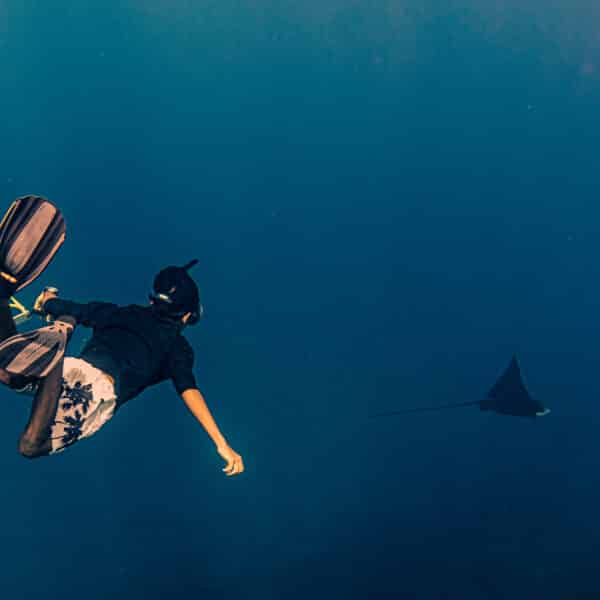 A person wearing snorkeling gear, swimming trunks, and fins is diving underwater towards a small, distant manta ray in the deep blue ocean. The diver's flippers are clearly visible as they move towards the right side of the image, capturing a glimpse of what makes this Soneva Maldives Exclusive Experience so magical.