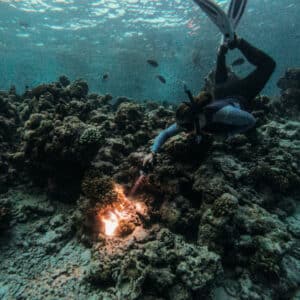 A diver with snorkel gear reaches towards illuminated coral on the ocean floor, surrounded by rocky structures and small fish, in clear turquoise water, during a Maldives luxury yacht holiday at Soneva.