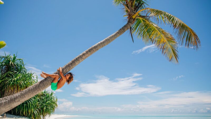 A person wearing turquoise shorts is climbing a bent palm tree on a tropical beach. The clear blue sky and the turquoise ocean in the background make for an idyllic Maldives exclusive experience. Lush green bushes surround the tree's base, creating a vibrant and serene atmosphere at Soneva.