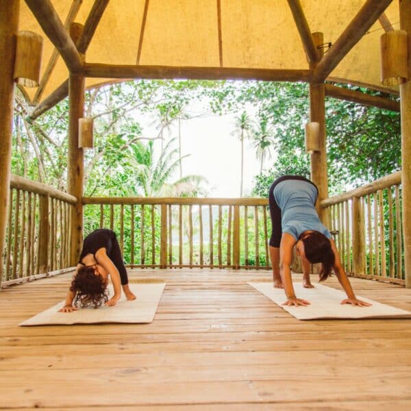 Two people practicing yoga on mats in a wooden, open-air pavilion surrounded by lush greenery at Soneva in Thailand. Both are positioned in a forward bend, with their hands and feet on the floor. The pavilion has a canopy roof providing shade, creating an exclusive experience of tranquility and nature.