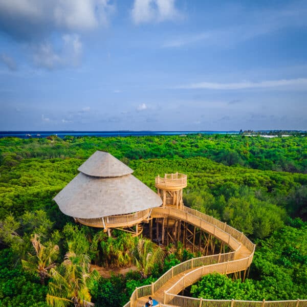 Aerial view of a wooden pathway leading to a unique circular thatched structure surrounded by lush greenery. A person is standing on the pathway, and the horizon shows the blue sky and ocean in the distance—truly embodying Soneva Exclusive Offers.