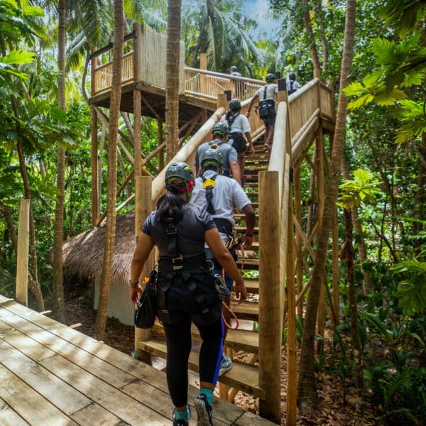 A group of people, equipped with harnesses and helmets, ascends a wooden staircase leading to an elevated platform nestled among lush tropical trees. Sunlight filters through the dense canopy, illuminating their path as they prepare for a Maldives Exclusive Experience at Soneva.