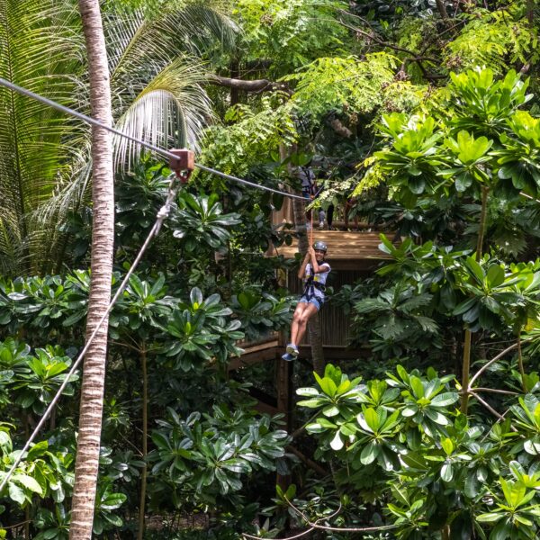 A person wearing a harness and helmet is zip-lining through a lush, green rainforest with thick foliage. They are suspended in the air, moving from one wooden platform to another amidst tall trees and dense vegetation in what can only be described as a Maldives Exclusive Experience at Soneva.