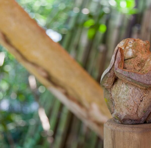 A stone sculpture of a frog sitting on a wooden post, its hands clasped around its knees, looking up. The background is a blurred scene of tall bamboo sticks and greenery, suggesting an outdoor garden setting—an exclusive experience reminiscent of Soneva&#039;s serene Thailand retreats.