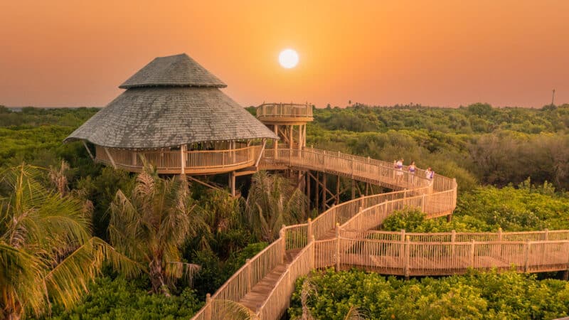 A sunset view of a scenic wooden walkway winding through lush greenery, leading to a circular structure with a thatched roof. Several people are walking along the pathway, immersed in the golden light of the setting sun, capturing the essence of a Maldives exclusive experience at Soneva.