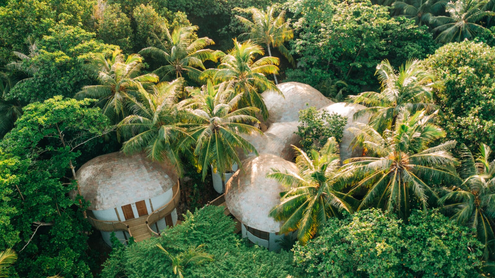 Aerial view of a tropical landscape with several thatched-roof structures nestled among dense green foliage and tall palm trees. The buildings, part of a serene Maldive spa wellness retreat, are partly obscured by the lush surroundings, creating a secluded atmosphere.