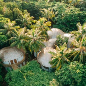 Aerial view of a tropical landscape with several thatched-roof structures nestled among dense green foliage and tall palm trees. The buildings, part of a serene Maldive spa wellness retreat, are partly obscured by the lush surroundings, creating a secluded atmosphere.