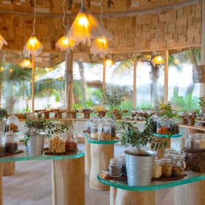 A well-lit, eco-friendly store with wooden decor features various jars of grains, spices, and dried goods on glass-topped wooden tables. Potted plants adorn the tables, and hanging lights create a warm ambiance reminiscent of Soneva Maldives Luxury. Large windows reveal a lush, green outdoor view.