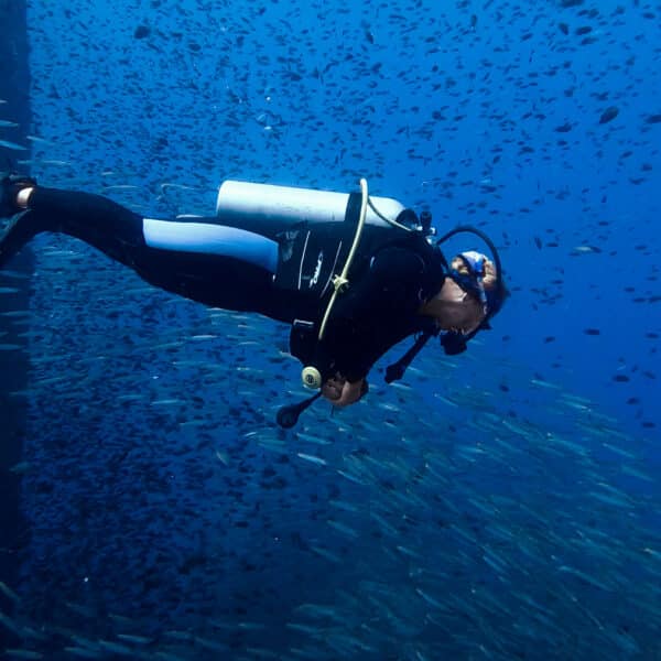 A scuba diver swims underwater, surrounded by a large school of fish. The deep blue ocean forms the backdrop as the diver, equipped with full scuba gear including an oxygen tank, mask, and flippers, explores this Thailand Exclusive Experience. The scene captures Soneva's serene and immersive underwater environment.