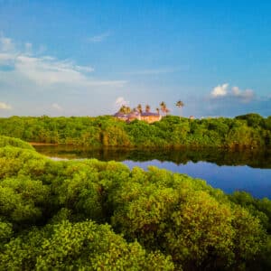 A serene landscape with a lush green forest surrounding a calm body of water, reflecting the clear blue sky overhead. In the background, a house with tall palm trees stands amidst the greenery. The scene, reminiscent of a family holiday at Soneva in the Maldives, is tranquil and vibrant under the bright sky.