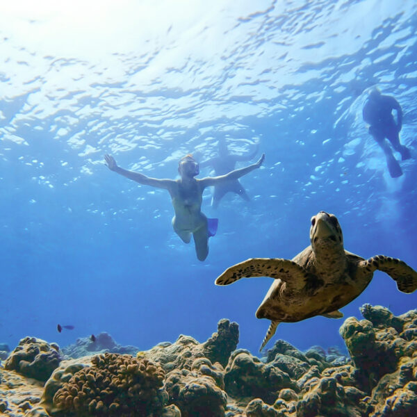 Underwater scene featuring a sea turtle swimming over a coral reef in the foreground, with three snorkelers from the Soneva Charity Foundation Maldives swimming in the background. Sunlight streams through the clear blue water, illuminating the vibrant marine life below.