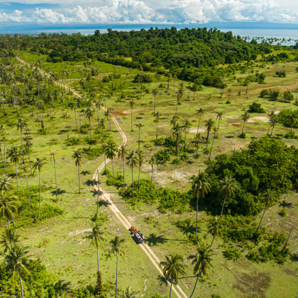 Aerial view of a lush green landscape in Thailand, with scattered palm trees and a dirt road running through the middle. A vehicle travels along the road, bordered by dense foliage and a distant body of water under a partly cloudy sky, capturing an exclusive Soneva experience.