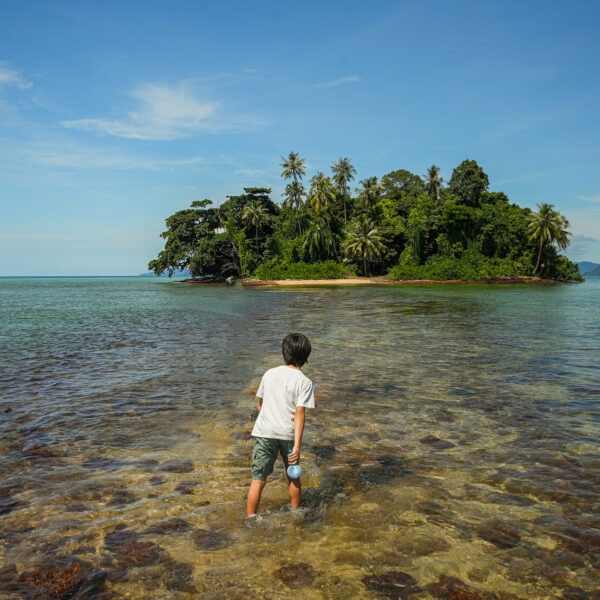 A child in shorts and a white shirt stands in shallow, clear water, facing a small, lush island with palm trees under a bright blue sky. The scene is serene with turquoise waters and a distant horizon—a picture-perfect Thailand Exclusive Experience that evokes the tranquility of Soneva resorts.