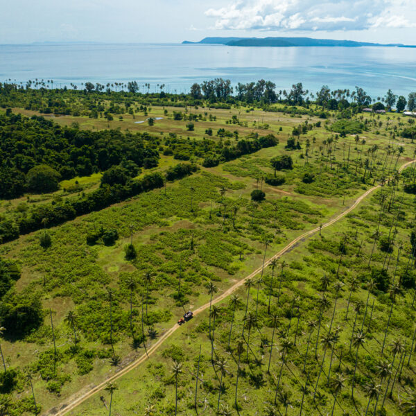 Aerial view of a tropical landscape with a dirt road winding through green fields and palm trees. The scene extends toward a coastline with calm blue waters and a distant island on the horizon under a partly cloudy sky, offering an exclusive experience reminiscent of Thailand&#039;s serene beauty.