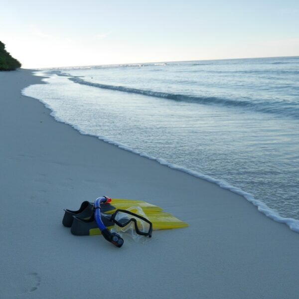 A pair of yellow and black flippers and a snorkel mask lie on a tranquil sandy beach near the water's edge. Gentle waves lap at the shore, and lush green vegetation lines the left side of the beach under a clear sky, offering a Maldives exclusive experience reminiscent of Soneva’s serene retreats.