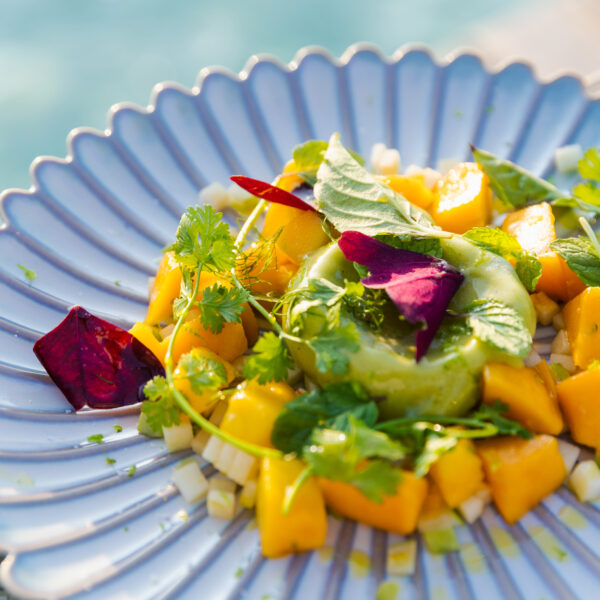 A beautifully plated dish features diced mango, leafy greens, fresh herbs, and edible flower petals arranged on a patterned, light blue plate. The colorful, fresh ingredients are set against a blurred background suggesting a family holiday in the Maldives by the water.