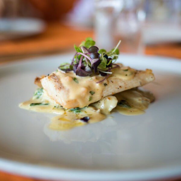 A gourmet dish featuring a piece of grilled fish topped with microgreens sits on a bed of creamy sauce and greens on a white plate. The background is softly blurred, highlighting the elegantly presented meal—a true taste of the Maldives exclusive experience at Soneva.