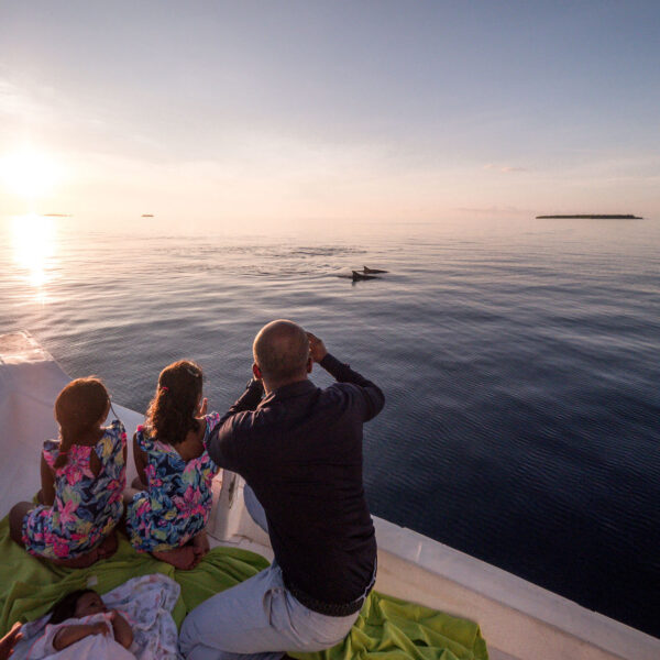 Four people sit on the edge of a boat, wrapped in blankets, watching the calm ocean at sunset. One person is taking a photo of distant dolphins. The serene water and islands on the horizon enhance the tranquil atmosphere, making it a Maldives exclusive experience by Soneva.