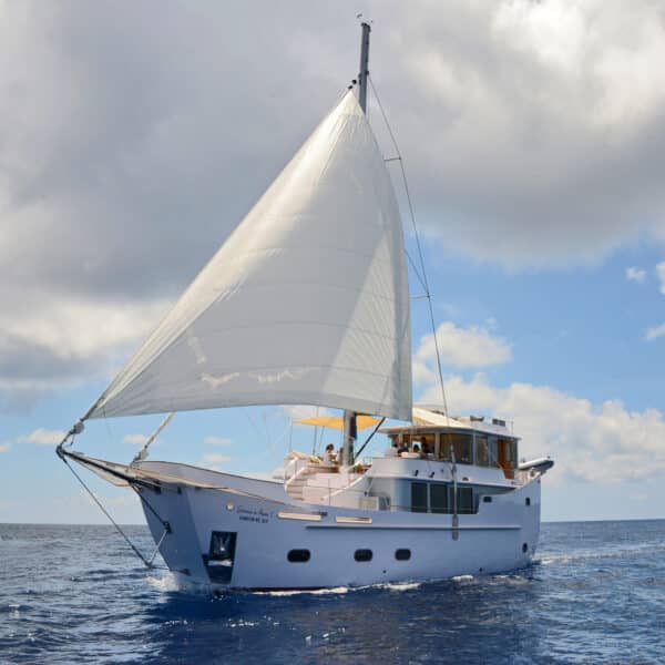 A large white sailboat sails on a calm blue sea under a partly cloudy sky. The vessel has one prominent sail and features a multi-deck structure. The horizon is visible in the background, suggesting open water with no land in sight, providing an exclusive experience reminiscent of the Maldives' serene beauty.