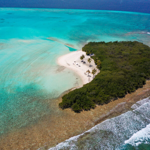 Aerial view of a small, tropical island with lush greenery and a sandy beach surrounded by turquoise waters. A few palm trees dot the beach, and gentle waves break along the shoreline. Nearby overwater bungalows from the exclusive Soneva experience in the Maldives are visible on the left side.