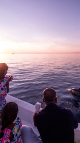 Three people sit at the edge of a boat, watching a dolphin swim alongside in calm, open water at sunset during their Maldives exclusive experience. The sky is a gradient of warm colors, with the sun near the horizon. Two children in colorful dresses reach out toward the dolphin.