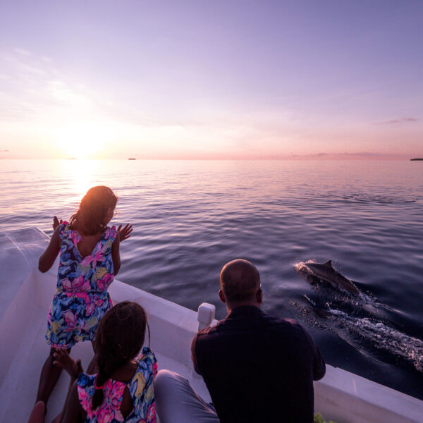 Three people sit at the edge of a boat, watching a dolphin swim alongside in calm, open water at sunset during their Maldives exclusive experience. The sky is a gradient of warm colors, with the sun near the horizon. Two children in colorful dresses reach out toward the dolphin.