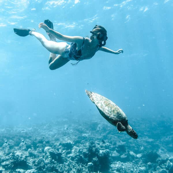 A person snorkeling underwater near a sea turtle in the Maldives. The serene scene captures the beauty of marine life, with coral and rocks lining the sea floor. This exclusive experience at Soneva includes wearing a snorkel mask, fins, and swimwear while swimming above the vibrant underwater landscape.