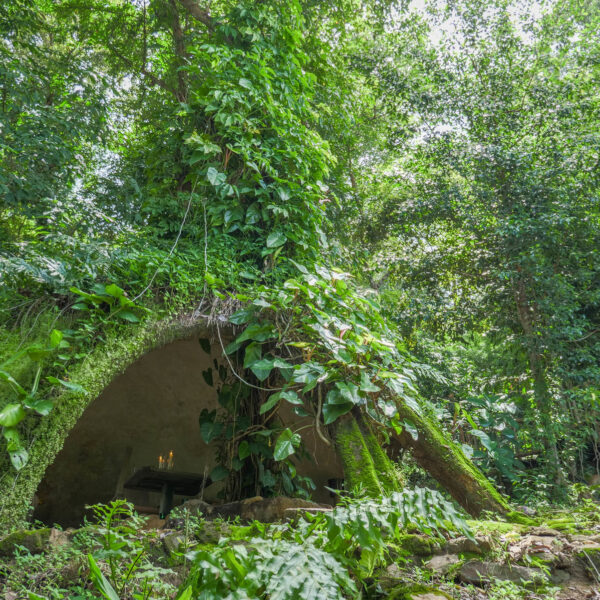 A small, dome-shaped shelter is nestled in a lush forest, offering a Thailand Exclusive Experience. The structure is covered with moss and climbing plants, blending seamlessly with the surrounding greenery. Soft light filters through the dense foliage, creating a serene and natural atmosphere.