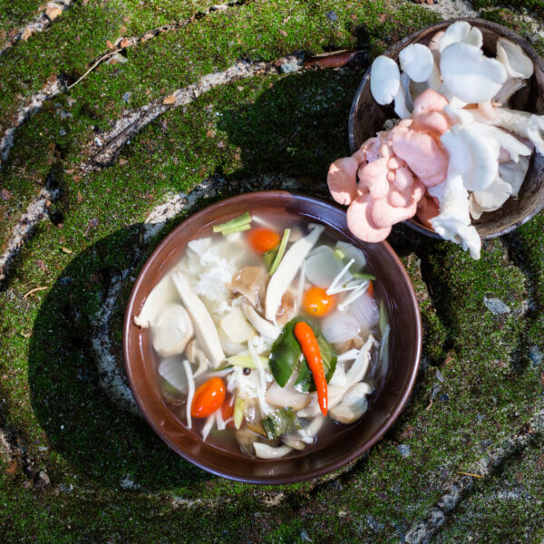 A bowl of soup filled with a variety of vegetables including carrots, green beans, and mushrooms is placed on a mossy spiral pattern surface. This Thailand Exclusive Experience by Soneva also features another bowl containing different types of mushrooms, including pink and white ones.