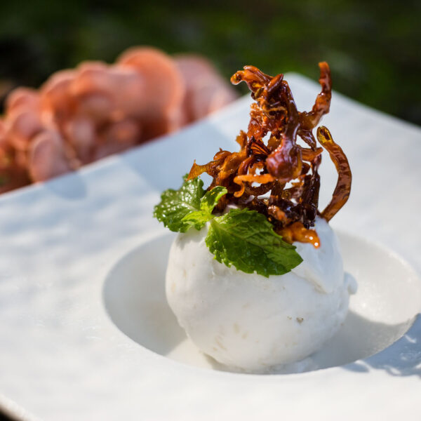 A Thailand Exclusive Experience at Soneva offers a gourmet dish featuring a scoop of white ice cream garnished with crispy fried mushrooms and a sprig of fresh mint. The dish is served on a sleek, white, square plate with a circular indentation. Pink mushrooms are blurred in the background.