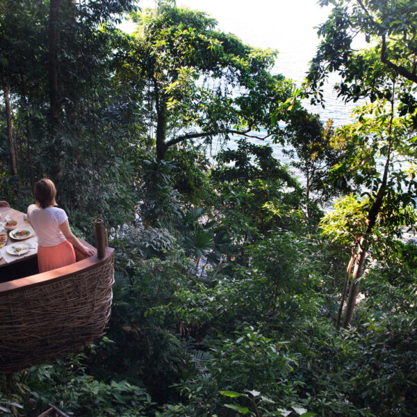 A couple dining in a unique, elevated tree pod surrounded by lush jungle overlooking the ocean. The pod is constructed of woven wood and holds a table set with various dishes as the couple enjoys their meal amidst the scenic, green treetop view—truly a Thailand exclusive experience at Soneva.