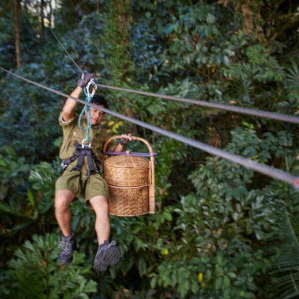 A person in adventure gear rides a zipline through a dense forest, carrying a large woven basket in one hand. The lush foliage below suggests a tropical paradise, making this Thailand exclusive experience truly unforgettable.