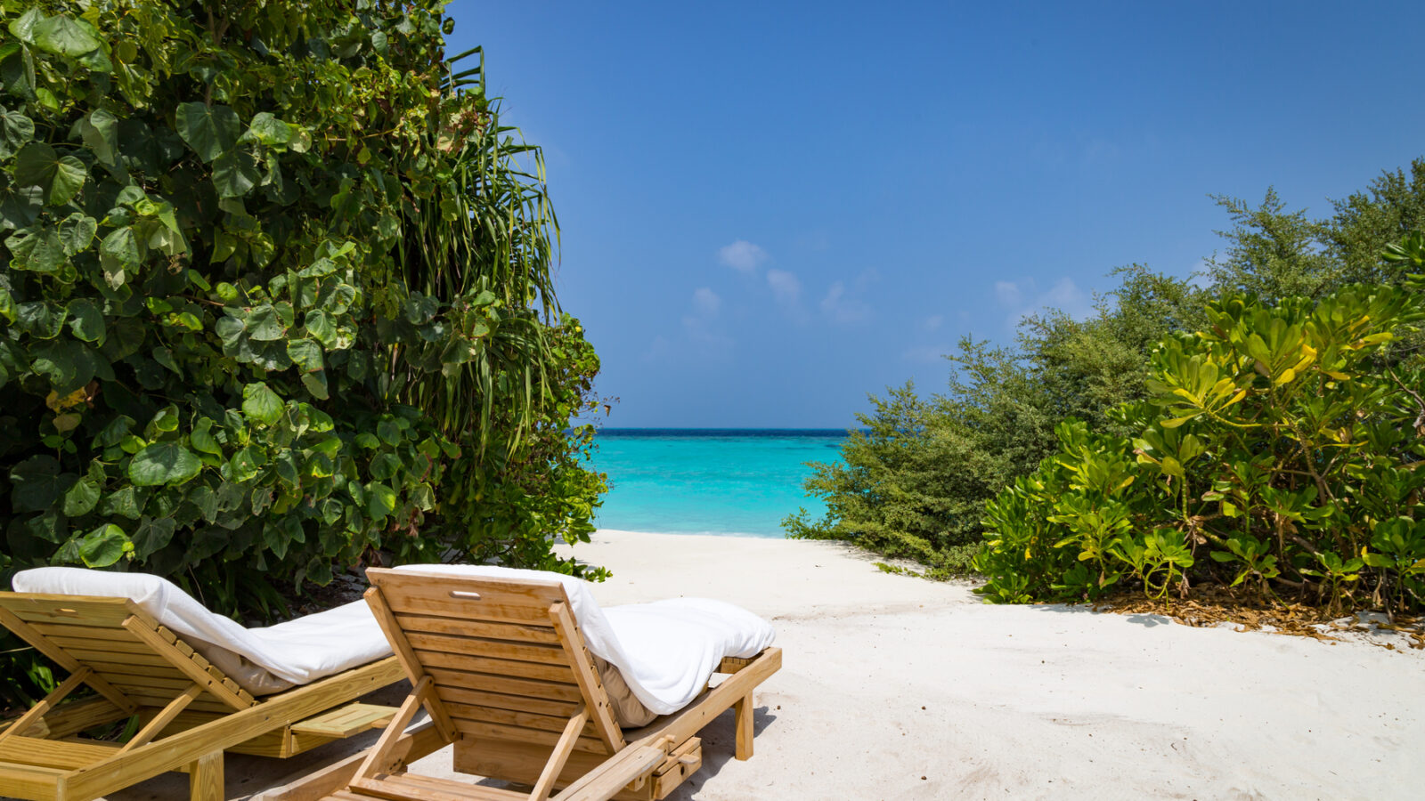 Two wooden lounge chairs with white cushions sit on a sandy beach, part of a spacious Maldives retreat. Surrounded by lush green foliage, the clear turquoise sea stretches out under a bright blue sky in the background.