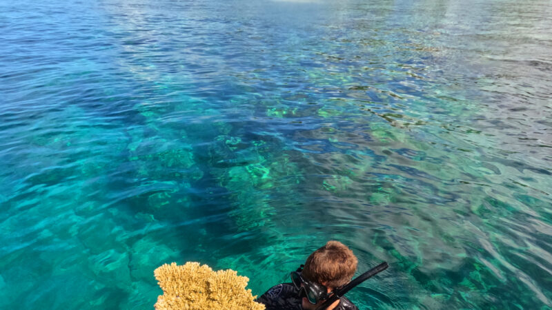 A snorkeler wearing a black wetsuit holds a piece of coral while climbing onto a boat in clear, turquoise waters near Soneva. A sandy beach and lush green hills are backdrop to the scene, with a distant pier likely part of the Salt Group's luxury development.