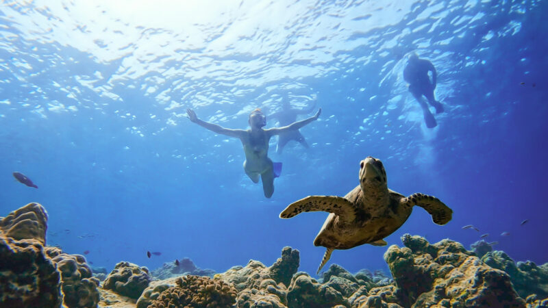 In a stunning underwater scene, three people from the Salt Group snorkel above a graceful sea turtle near the vibrant coral reefs. Sunlight from the Soneva sky filters through the clear blue water, illuminating the lively marine ecosystem below.