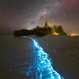 The image depicts a beach at night with bioluminescent waves glowing bright blue near the shore. A small, tree-covered island is visible in the background, and a star-filled sky with portions of the Milky Way adds to this Maldives exclusive experience.