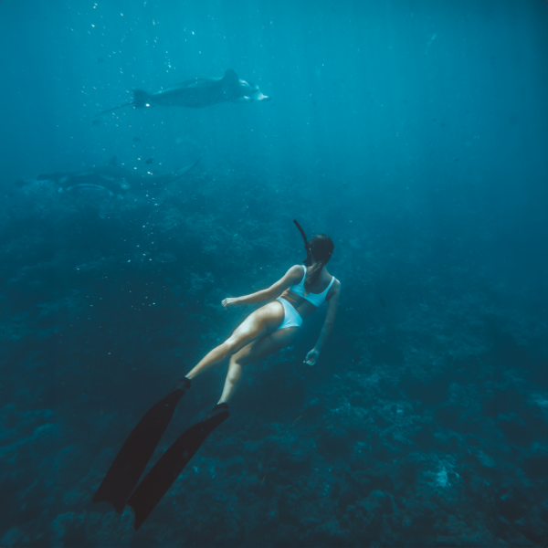 A snorkeler in a white swimsuit with black fins swims underwater near a coral reef. Two dolphins are visible in the background, also swimming through the blue, clear ocean water. Capture moments like these with our Soneva Exclusive Offers for an unforgettable aquatic adventure.