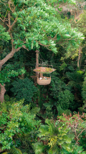 A bird's eye view of a woven basket-like structure hanging among dense green foliage high up in the trees. Inside the basket, there is a small outdoor dining setup with people enjoying a meal in a lush, forested environment—an exclusive experience unique to Soneva's Thailand resort.